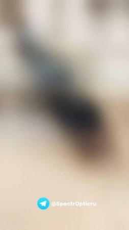 🎯 КОМИССИОННЫЕ ПРИБОРЫ ДЛЯ ОХОТЫ