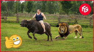 Попробуй не рассмеяться Челлендж 😂 Подборок неудачных розыгрышей с мгновенным сожалением за 2025