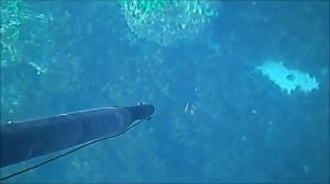 Omer airbalete distant live target trial 18 bar black sea