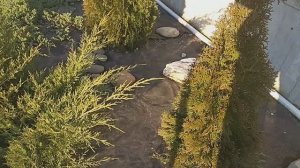 Февральский норд- ост. Ущерб нанесенный ветром.