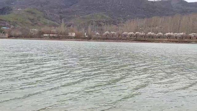 Балик, ови 1. смотреть онлайн