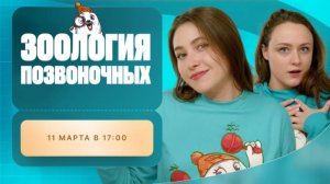 Зоология позвоночных | Вспомнить всё | ЕГЭ-2025 с Биологическим Тюленем