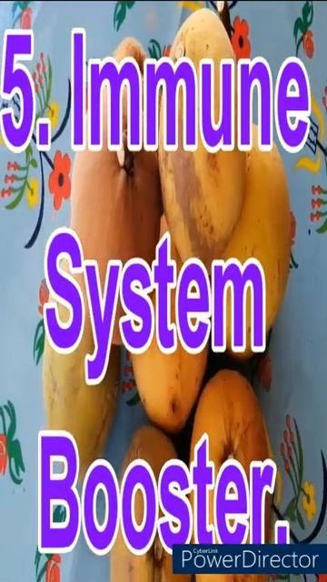 #Shorts | Top Ten Health Benefits of Ripened Santol Or Cotton Fruits. } Tropical Fruit Trees. смотреть онлайн