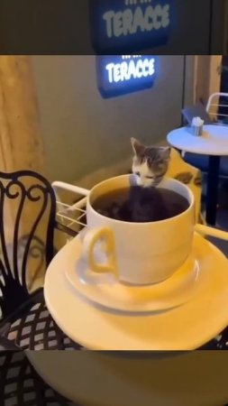Утренний кофе)))