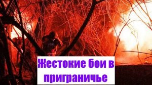 Жестокие бои в приграничье. «Тюремный» полк Сырского - Война на Украине
