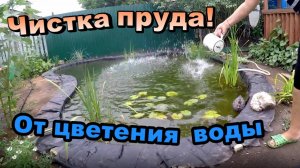 Чистим пруд \ Средство от цветения воды \ Очиститель Био Десант (июль 2018)