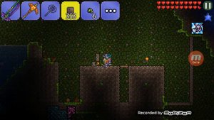 Как сделать ФЕРМУ ХлОрОфИтА