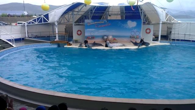 Коктебельский дельфинарий часть2