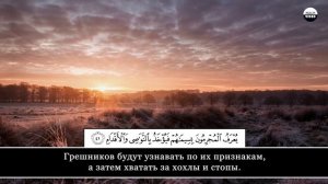 Валид Абу Мух1аммад.mp4