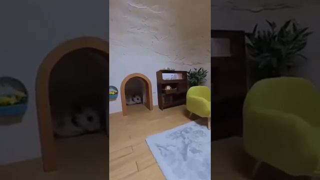 Видео от Home Designing | Дизайн интерьера