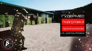 Подготовка телохранителей Сигма-Профи.