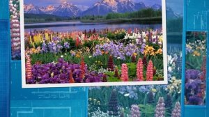 03 Халкыбызга ярдәм кулы сузып