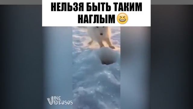 Моя лунка - моя рыба! 😆 смотреть онлайн