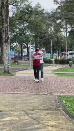 Смешные гусеницы