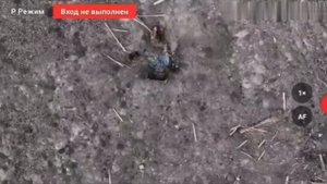 охота на древних укров. а может наёмников... кто ж уже разберет😏
