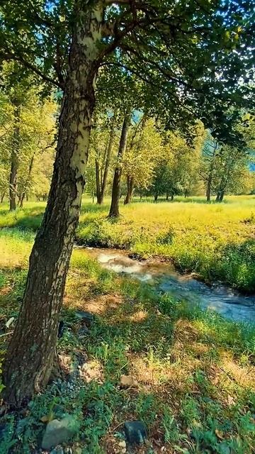 Природа.Река смотреть онлайн