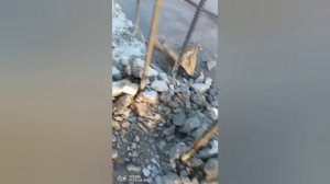 Отзыв на компрессор BAYSAR DS185-7