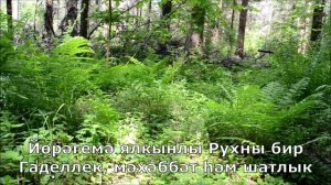 127 Миңа изгелек бирче, Син Гайсәм