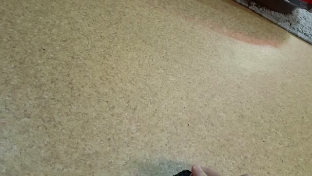 1000004196.mp4 смотреть онлайн