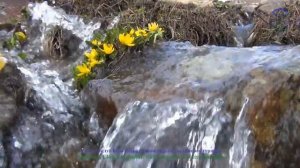 Лучшая природа юга России