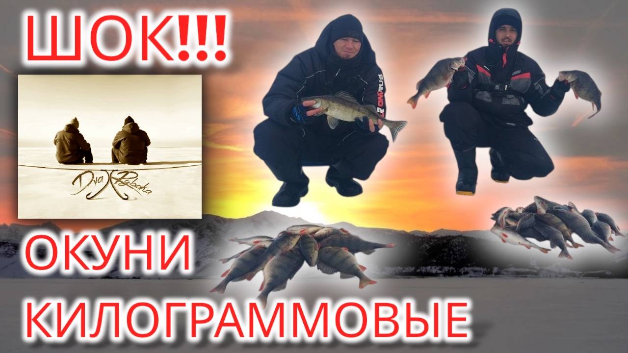 ШОК!!! ГИГАНСКИЕ ОКУНИ НА ПРОСТОРАХ КАМСКОГО УСТЬЯ!!!#Рыбалка