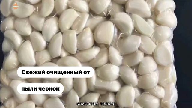 Оптовые продажи Чеснок Сушеный Гранулы Поставщик