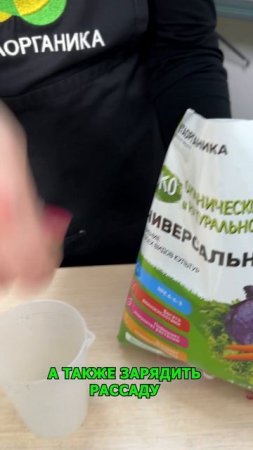 Когда в начале рабочей недели