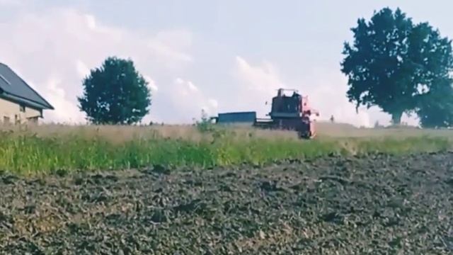 Bizon Super Z056/7 fmż sw-400 żniwa Polska moc/Polish power смотреть онлайн