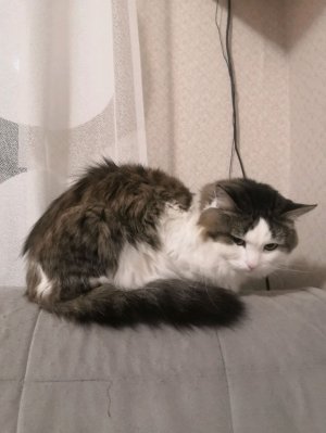 Го побалтаем?