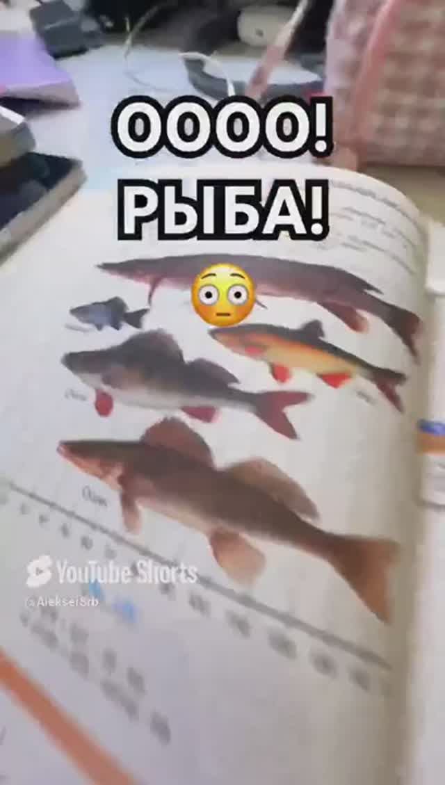 Как отвлечь рыбака от любого занятия_ - ПОКАЗАТЬ РЫБОВ! #humour #юмор #fishing #рыбалка #уроки