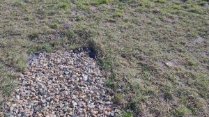 Дорожки из гравия. Ошибки. Мульча из коры лиственницы. Планы на сезон