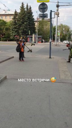 щас будет эпичная битва косилок 😎