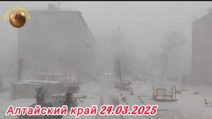 Алтайский край. Такой весны в крае не было давно. 24.03.2025 г.