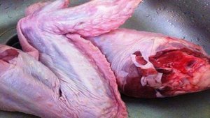 Холодец из индейки