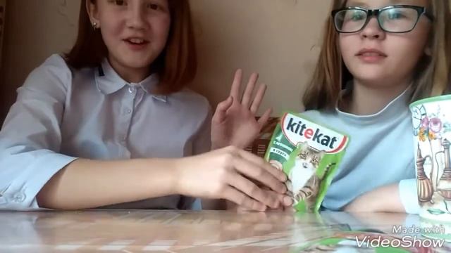 Челлендж- едим кошачью еду| снимаю вместе со своей лучшей подругой 😂