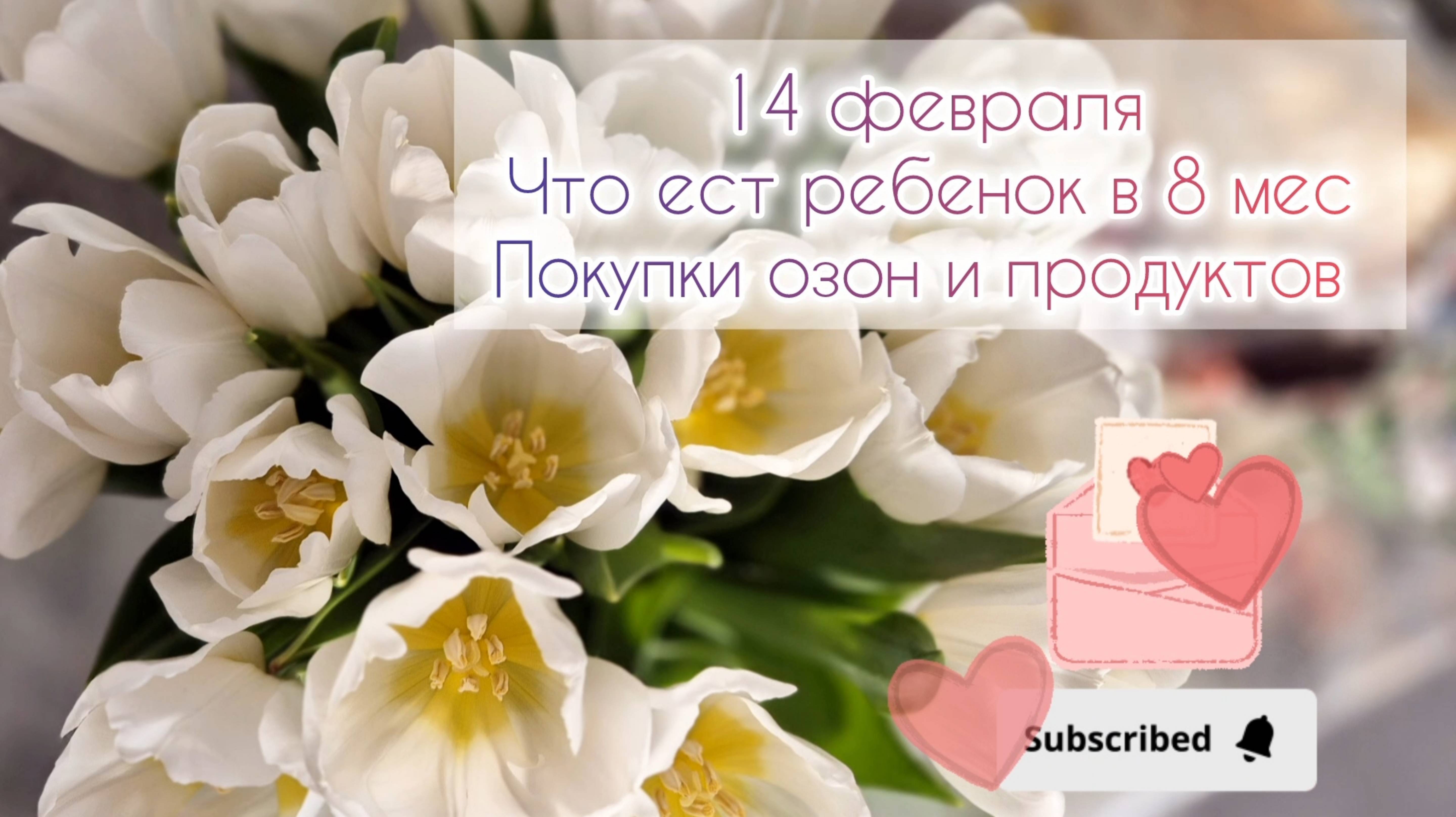 14 февраля. Что есть ребёнок в 8 мес. Покупки продуктов и Озон