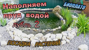 Запуск пруда дубль 2 \ Наполняю водой \ Временная фильтрация \ Посадка растений биоплато (Май 2019)