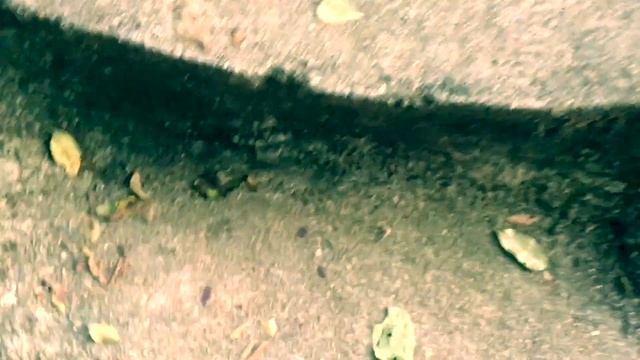 I Love Agrobank (Individual Category: Ahmad Nabil Nordin) смотреть онлайн