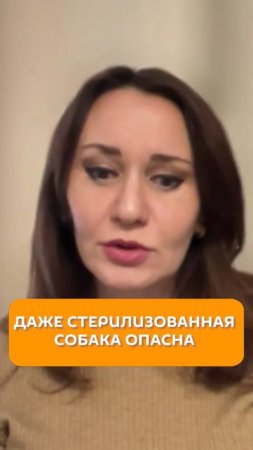 Даже стерилизованная собака опасна