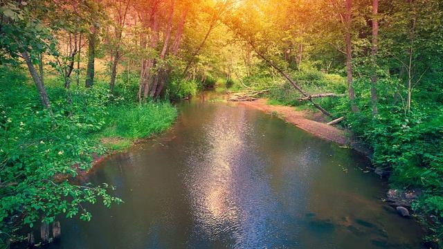 Beethovens Overture To Egmont Op. 84 In f Minor смотреть онлайн