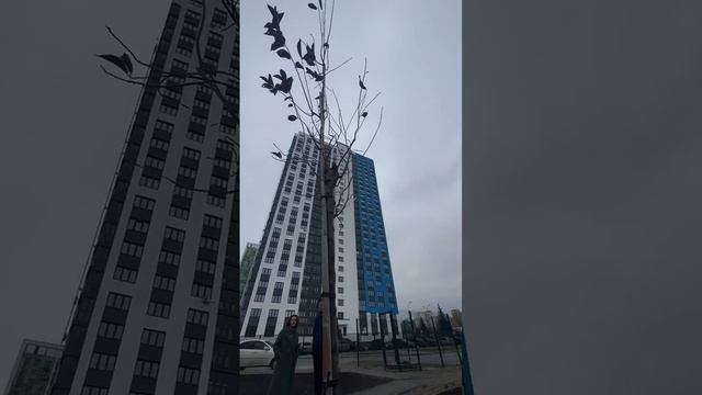 ЖК Родина парк (2 очередь ЖК Республика) в Уфе от ГК Третий трест