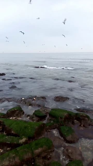 Республика Дагестан Махачкала. Встречаем рассвет на Каспии. Путешествия. Достопримечательности. 2022