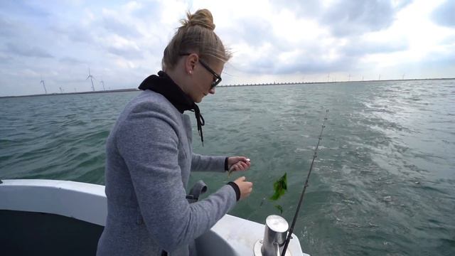 IK HEB EEN HAAI GEVANGEN IN NEDERLAND UIT DE ZEE!! 🎣🦈 #2233