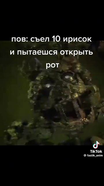 мемы
