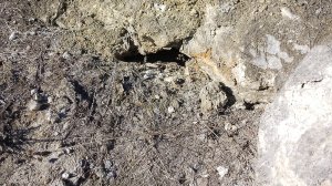 Поход в пещеру Литке Самарской области