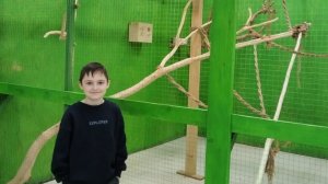 ЗООПАРК Сургут Сити Молл