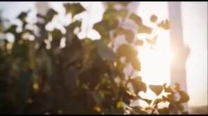 Нашид ё Аллох