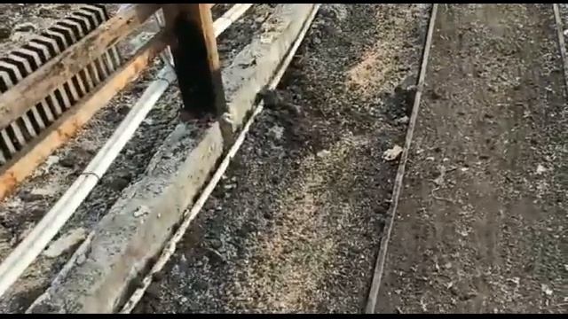 Обзор нашей теплицы на 3 ноября 2020г смотреть онлайн