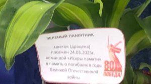 Зелёный памятник команды «Искры памяти»