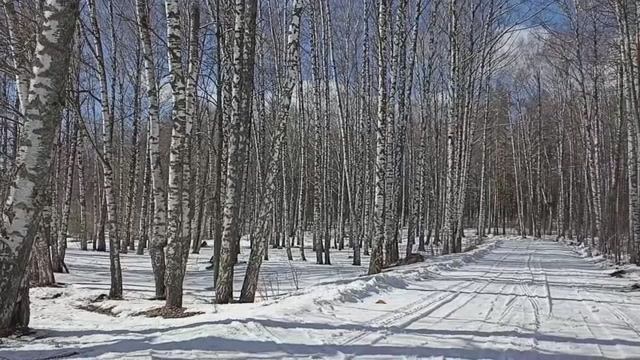 Лес в марте. Красивая мелодия.
